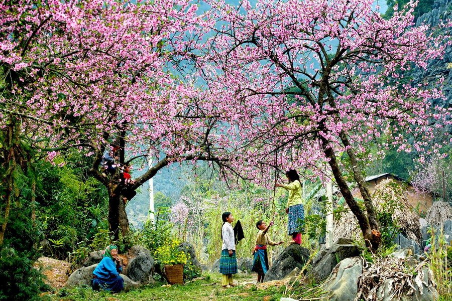 Northwest Vietnam Itinerary 11 Days